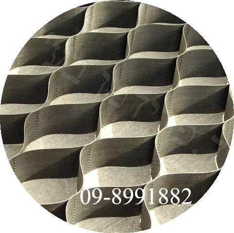 הגדלה של התאים של רב-תא